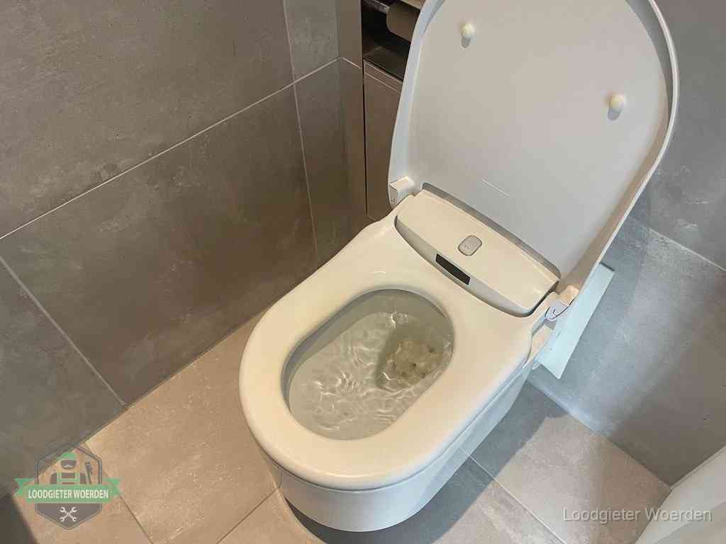 Wc Verstopt In Woerden Wc Verstopt In Woerden